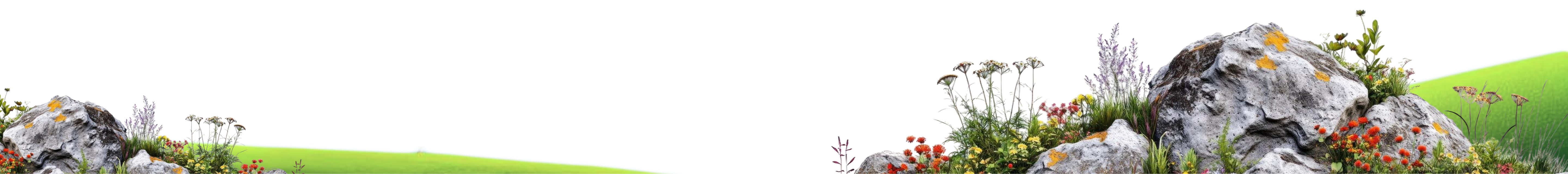 Footer Image