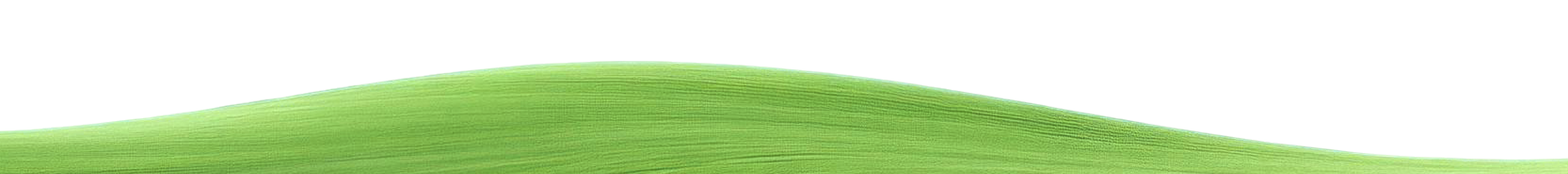 Footer Image